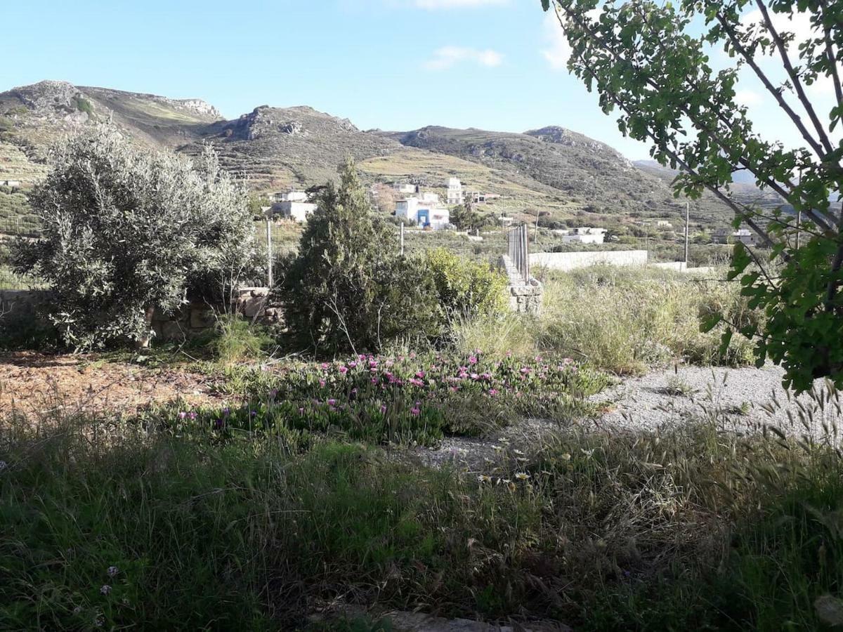 Cozy Secluded With Panoramic View Tatil Evi Agios Georgios (Kissamos)
